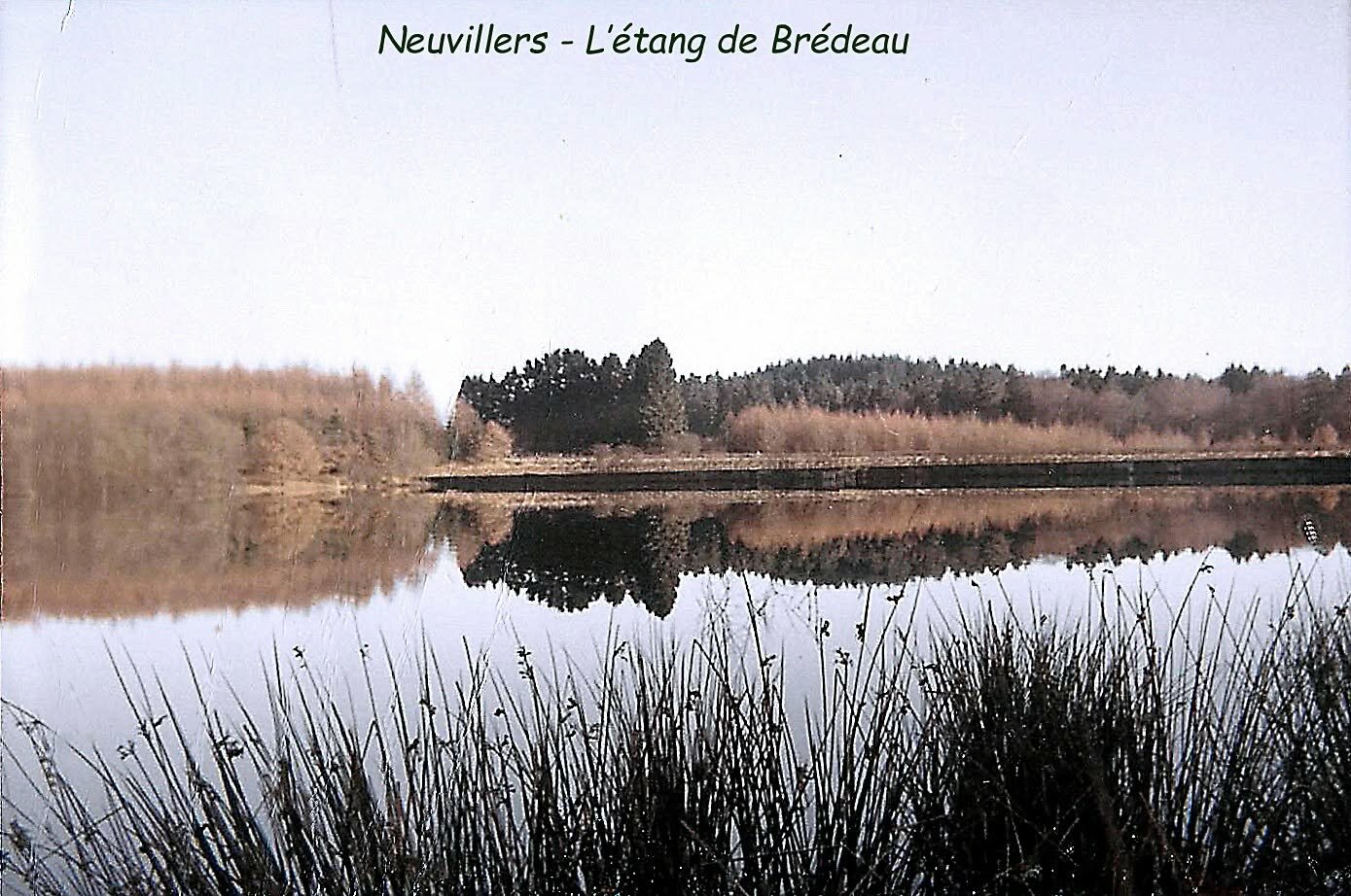 Neuvillers - L'étang de Brédeau